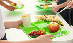 BOSS Participation Certification